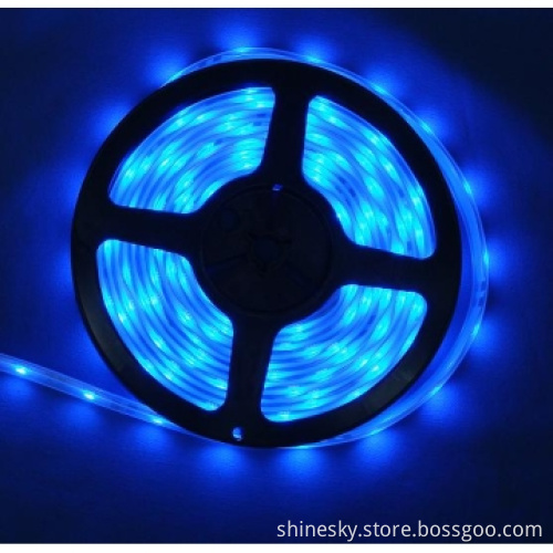 48LEDs/M SMD5050 Waterproof IP67 Blue LED Strip Light